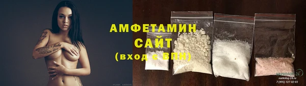 шишки Пестово