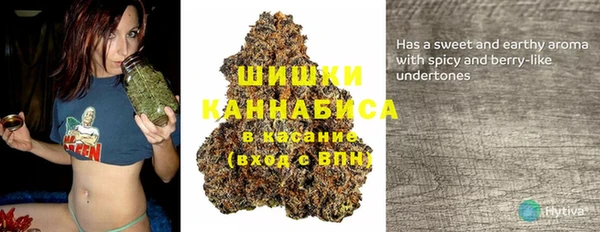 дурь Арсеньев