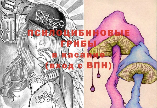 дурь Арсеньев