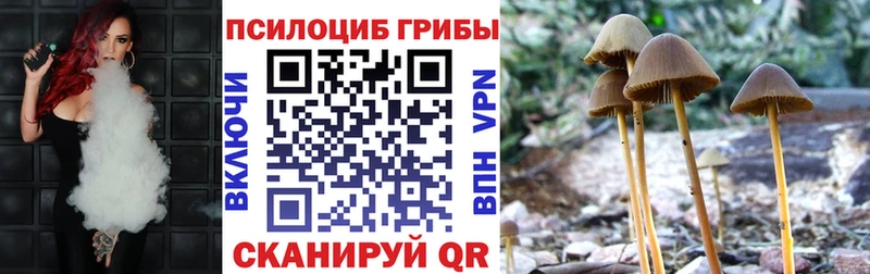 Псилоцибиновые грибы Psilocybe ОМГ ОМГ онион Багратионовск
